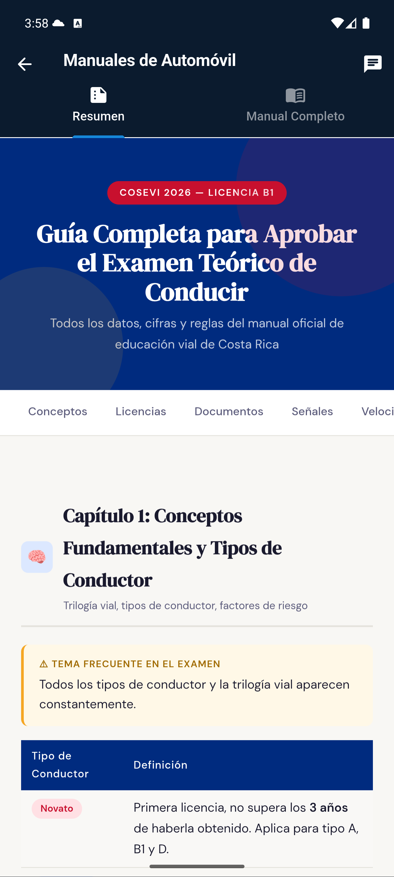 Resumen de automóvil dentro de la aplicación